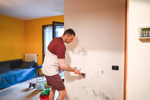 Best Basement Mold Remediation in Paulsboro, NJ